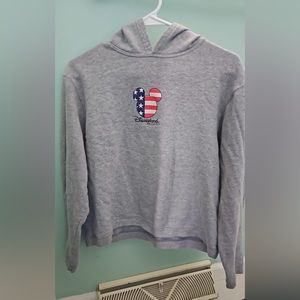 Grey Disneyland crop hoodie